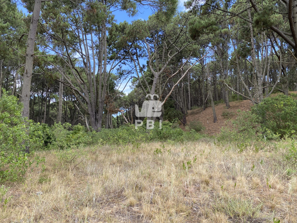 VmVudGEgZGUgVGVycmVubyBlbiBDbHViIGRlbCBMYWdvIC0gUmVmIDogUEJJMTM3Mjk=