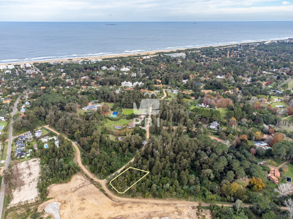 Departamentos y Casas en Punta del Este, Alquileres