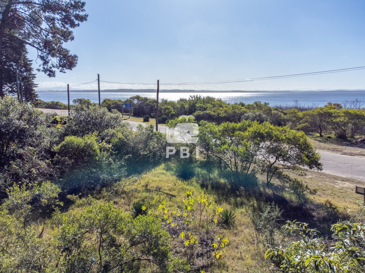 Laguna del Sauce - GoPunta - Portal Inmobiliario de Punta del Este - Maldonado