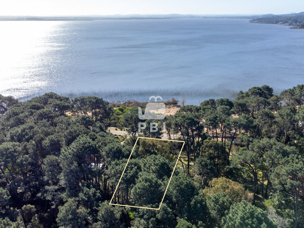 Laguna del Sauce - GoPunta - Portal Inmobiliario de Punta del Este - Maldonado