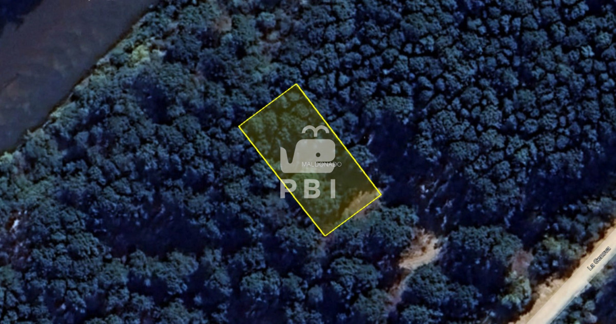 VGVycmVubyBlbiBDaGlodWFodWEsIFB1bnRhIEJhbGxlbmEgLSBSZWYgOiBQQkkxMjgxMA==