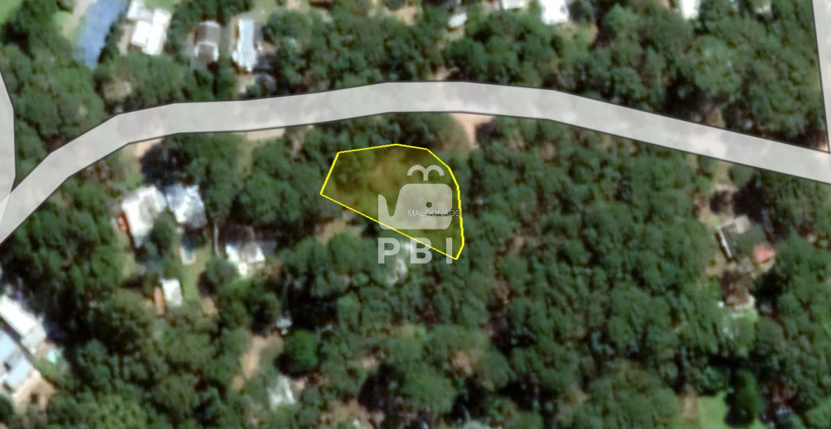 Terreno en venta en Portezuelo Bosque, Punta Ballena  - Ref : PBI14439