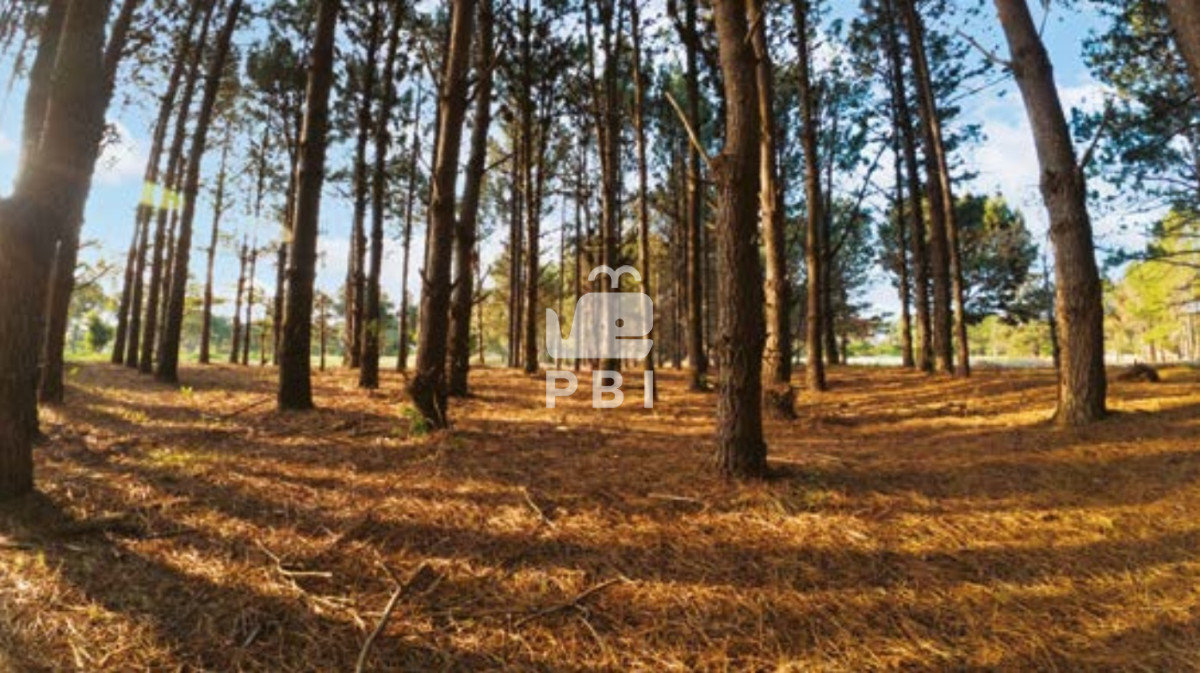 VGVycmVubyBlbiB2ZW50YSBlbiBMYSBTZXJlbmEsIFB1bnRhIEJhbGxlbmEgIC0gUmVmIDogUEJJMTQxMTE=