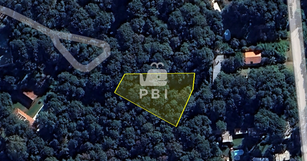 Terreno en Portezuelo Bosque, Punta Ballena - Ref : PBI12628