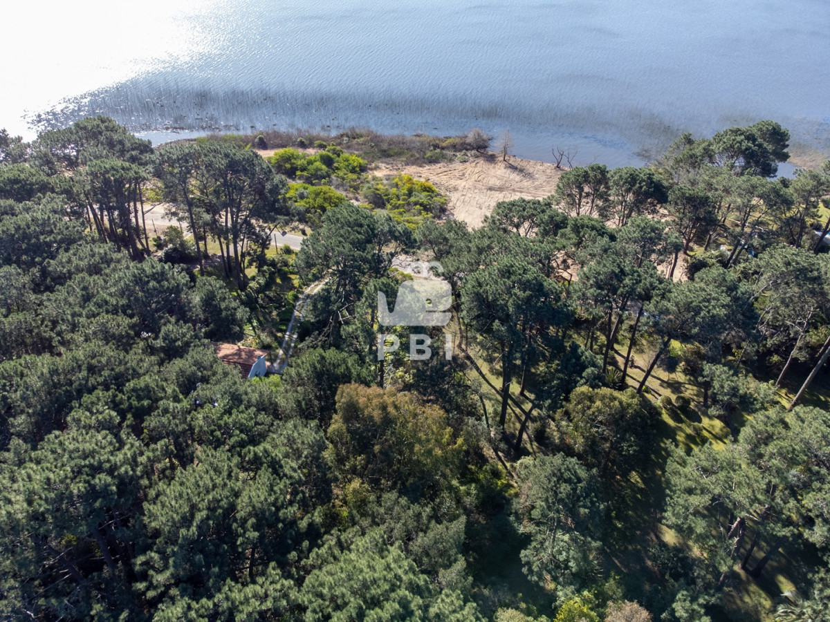 Laguna del Sauce - GoPunta - Portal Inmobiliario de Punta del Este - Maldonado