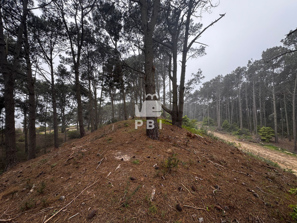 VmVudGEgZGUgVGVycmVubyBlbiBDbHViIGRlbCBMYWdvIC0gUmVmIDogUEJJMTM3Mjk=