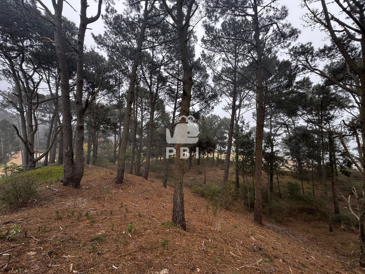 VmVudGEgZGUgVGVycmVubyBlbiBDbHViIGRlbCBMYWdvIC0gUmVmIDogUEJJMTM3Mjk=