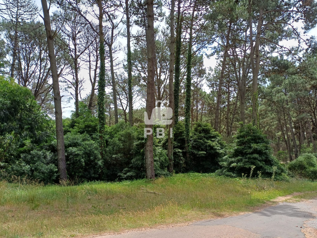 VGVycmVubywgVmVudGEsIENsdWIgZGVsIExhZ28gIC0gUmVmIDogUEJJMTQyMDE=