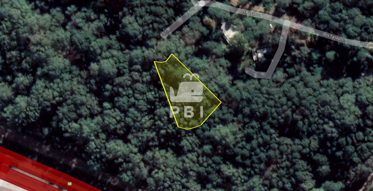 Venta de Lote en Portezuelo Bosque, Punta Ballena - Ref : PBI2447