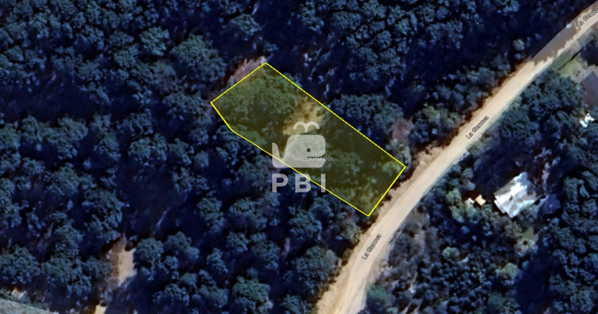 VGVycmVubyBlbiBDaGlodWFodWEsIFB1bnRhIEJhbGxlbmEgLSBSZWYgOiBQQkkxMjgwNw==