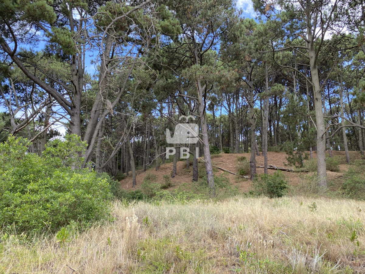 VmVudGEgZGUgVGVycmVubyBlbiBDbHViIGRlbCBMYWdvIC0gUmVmIDogUEJJMTM3Mjk=