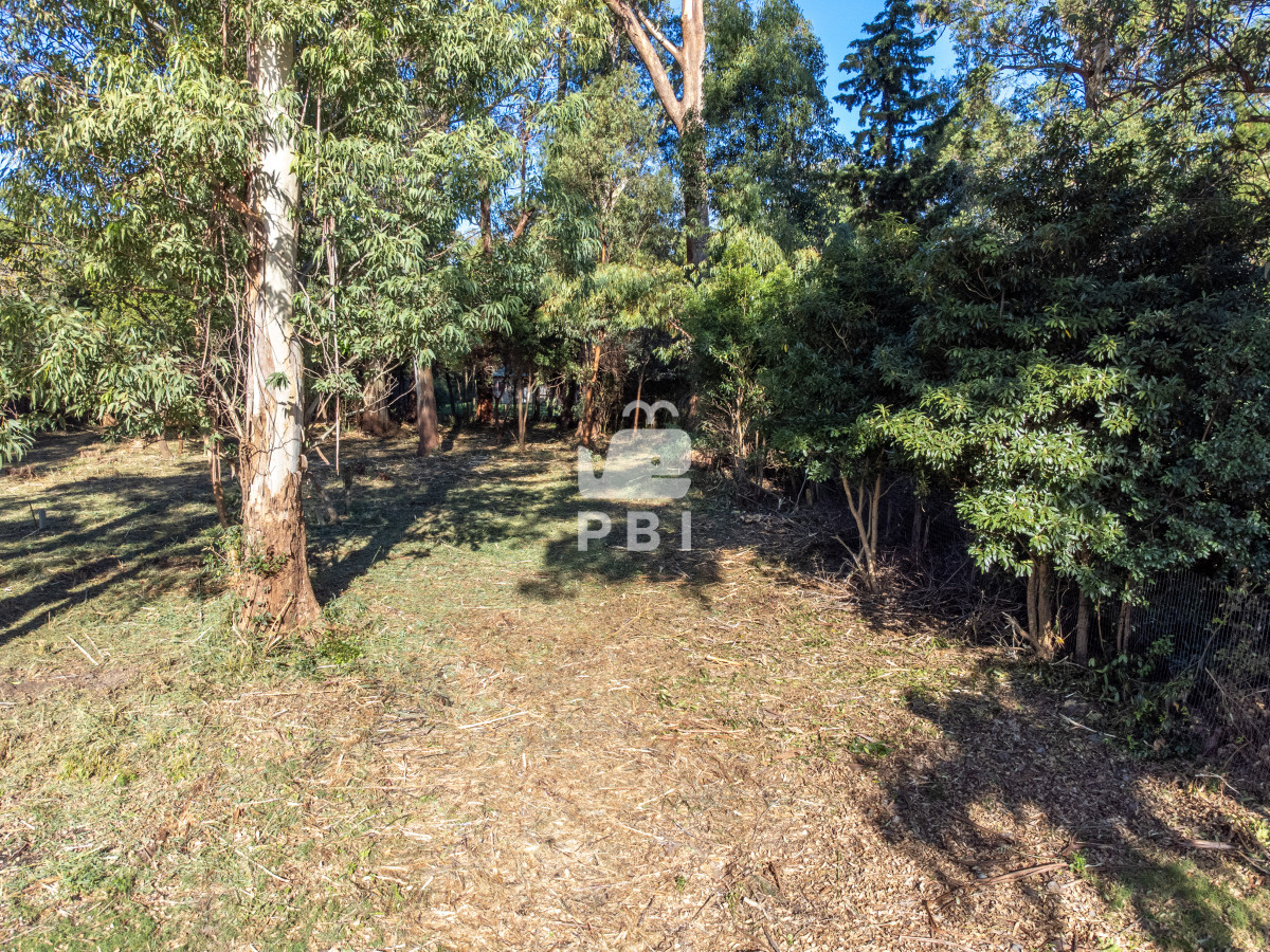 Laguna del Sauce - GoPunta - Portal Inmobiliario de Punta del Este - Maldonado