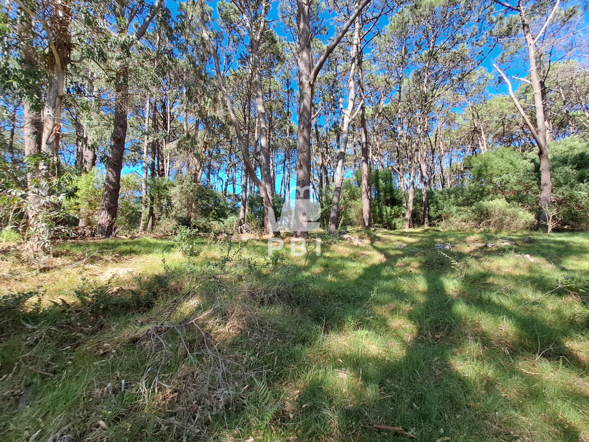 Lote en Venta en Exclusivo Barrio Privado de La Barra - Ref : PBI14710