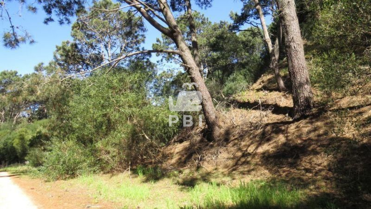 VGVycmVubyBlbiB2ZW50YSBDbHViIERlbCBMYWdvICAtIFJlZiA6IFBCSTExNTE=