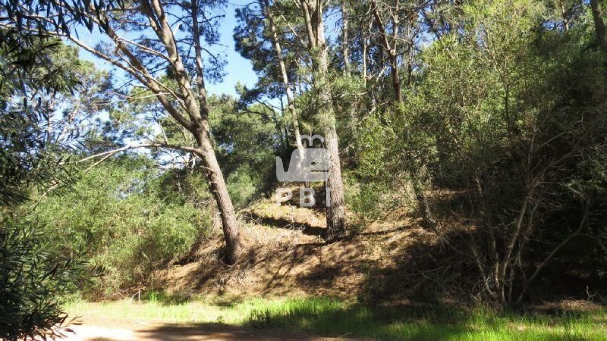 VGVycmVubyBlbiB2ZW50YSBDbHViIERlbCBMYWdvICAtIFJlZiA6IFBCSTExNTE=