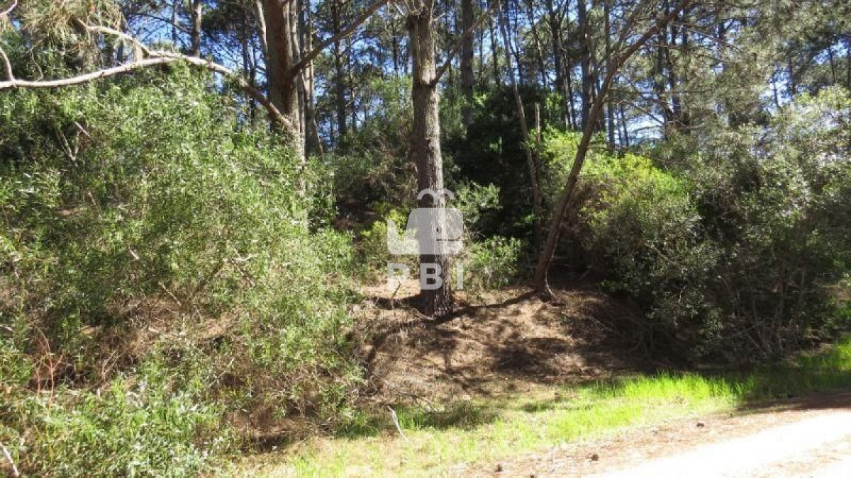 VGVycmVubyBlbiB2ZW50YSBDbHViIERlbCBMYWdvICAtIFJlZiA6IFBCSTExNTE=