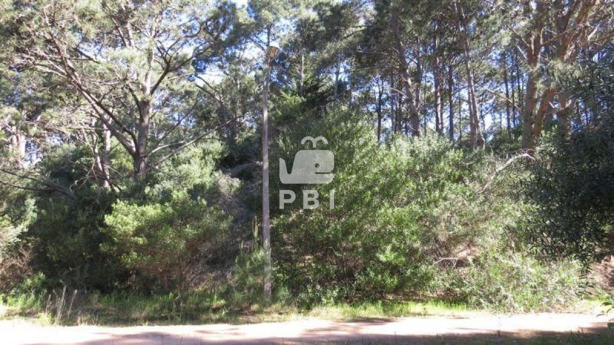 VGVycmVubyBlbiB2ZW50YSBDbHViIERlbCBMYWdvICAtIFJlZiA6IFBCSTExNTE=