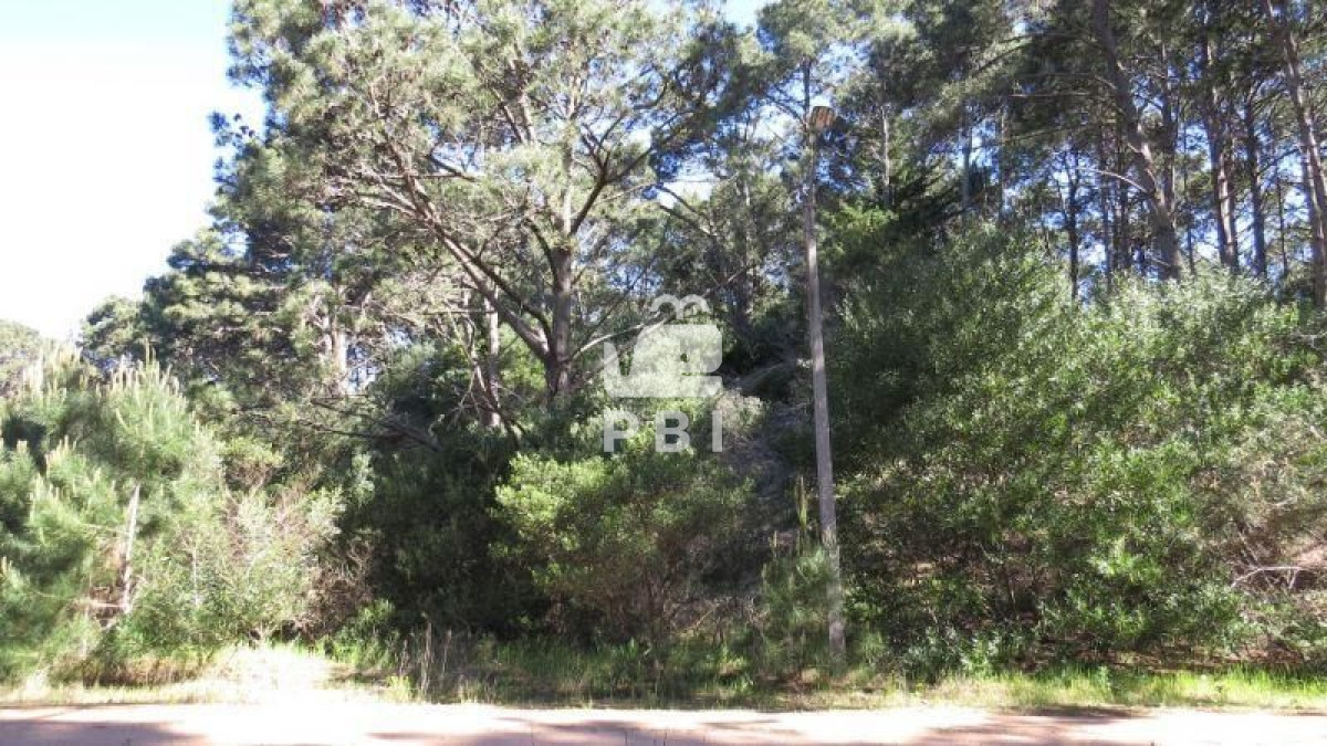 VGVycmVubyBlbiB2ZW50YSBDbHViIERlbCBMYWdvICAtIFJlZiA6IFBCSTExNTE=