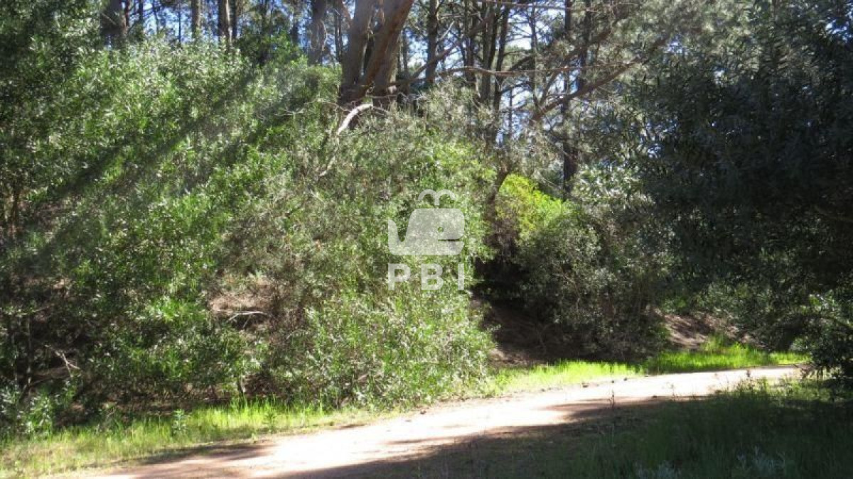 VGVycmVubyBlbiB2ZW50YSBDbHViIERlbCBMYWdvICAtIFJlZiA6IFBCSTExNTE=