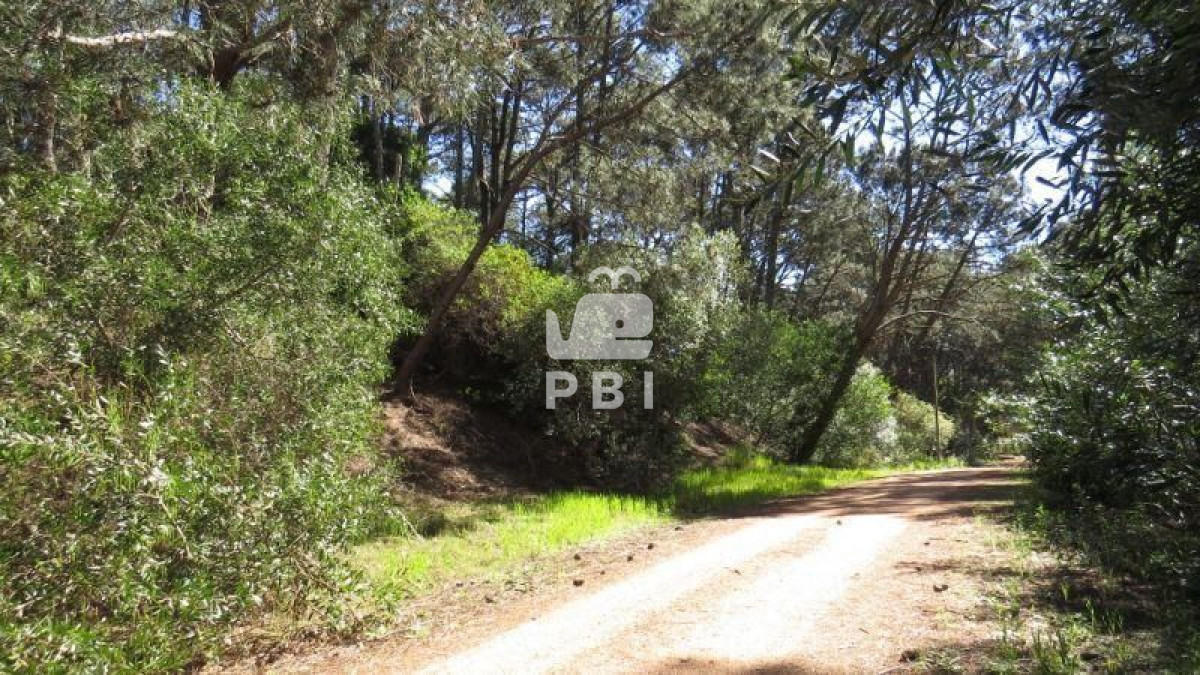 VGVycmVubyBlbiB2ZW50YSBDbHViIERlbCBMYWdvICAtIFJlZiA6IFBCSTExNTE=