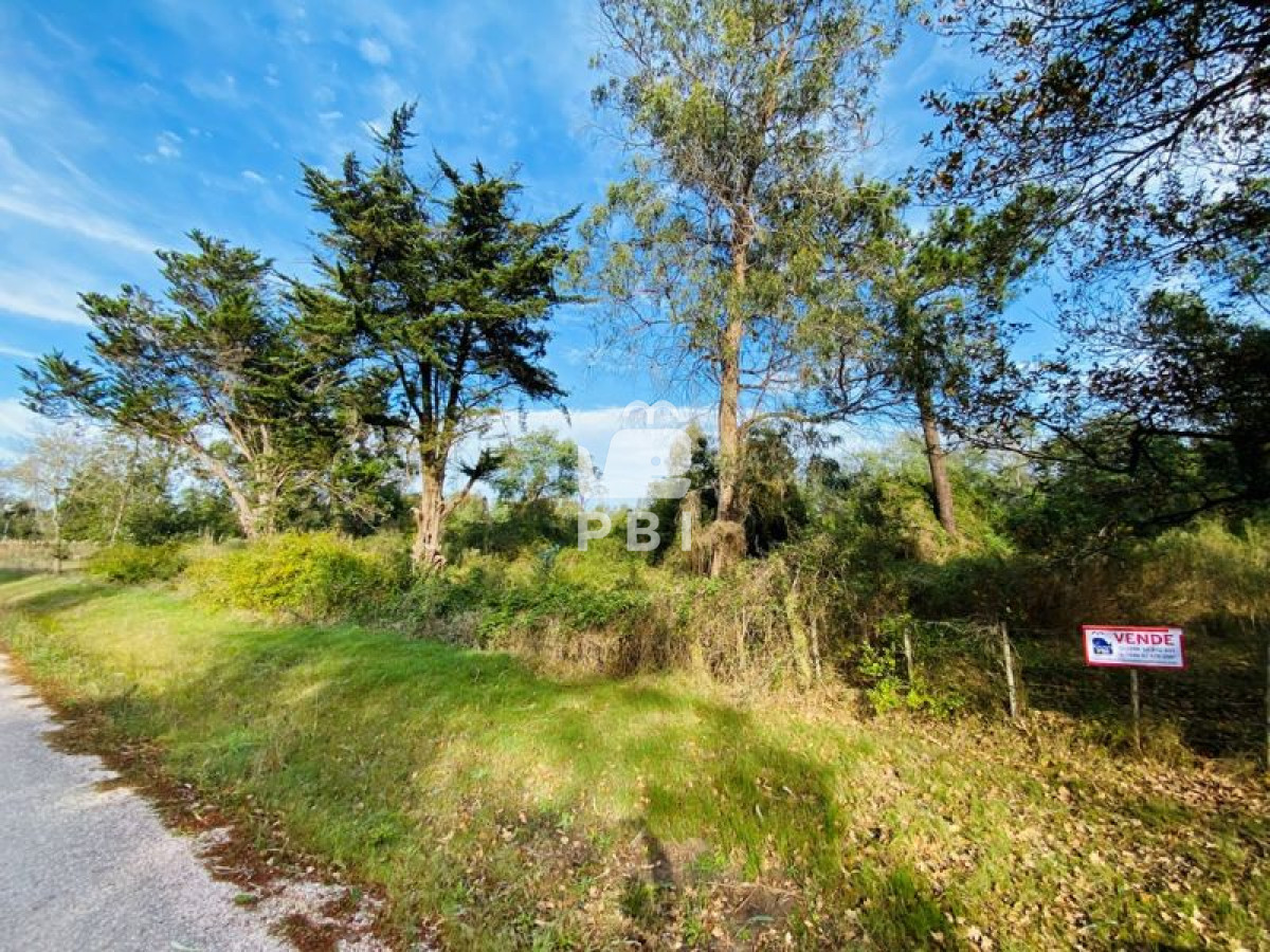 La Capuera - GoPunta - Portal Inmobiliario de Punta del Este - Maldonado