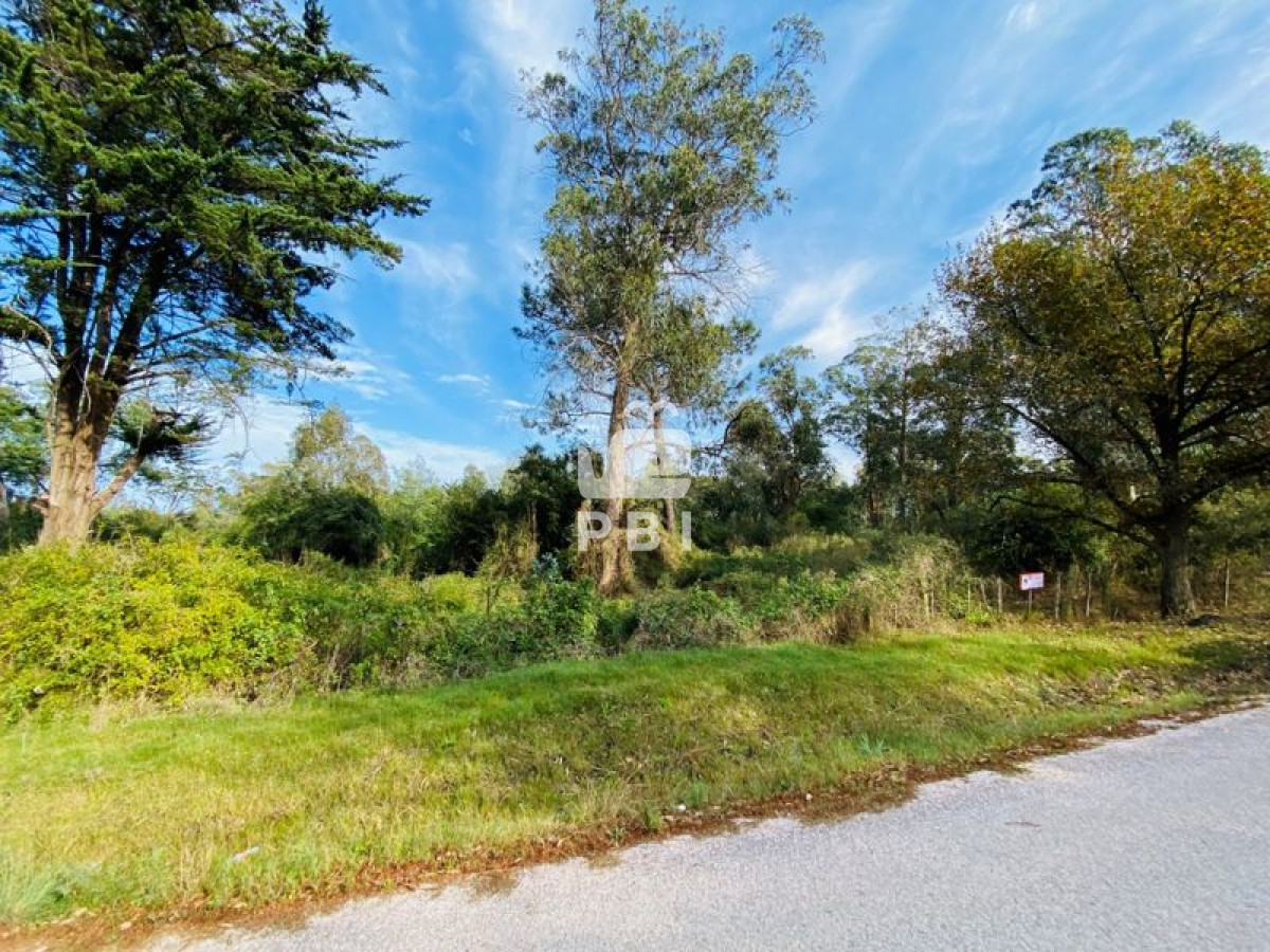 La Capuera - GoPunta - Portal Inmobiliario de Punta del Este - Maldonado