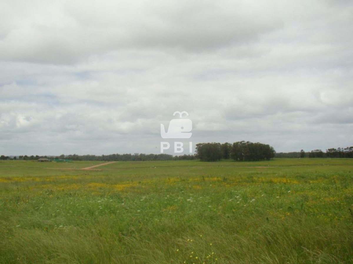 VGVycmVubyBlbiB2ZW50YSBMYWd1bmEgRGUgTG9zIENpc25lcyAgLSBSZWYgOiBQQkkxODAx