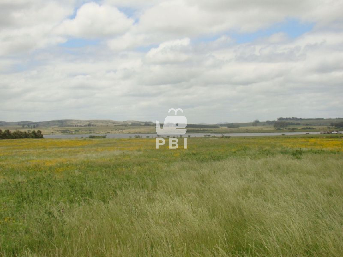 VGVycmVubyBlbiB2ZW50YSBMYWd1bmEgRGUgTG9zIENpc25lcyAgLSBSZWYgOiBQQkkxODAx