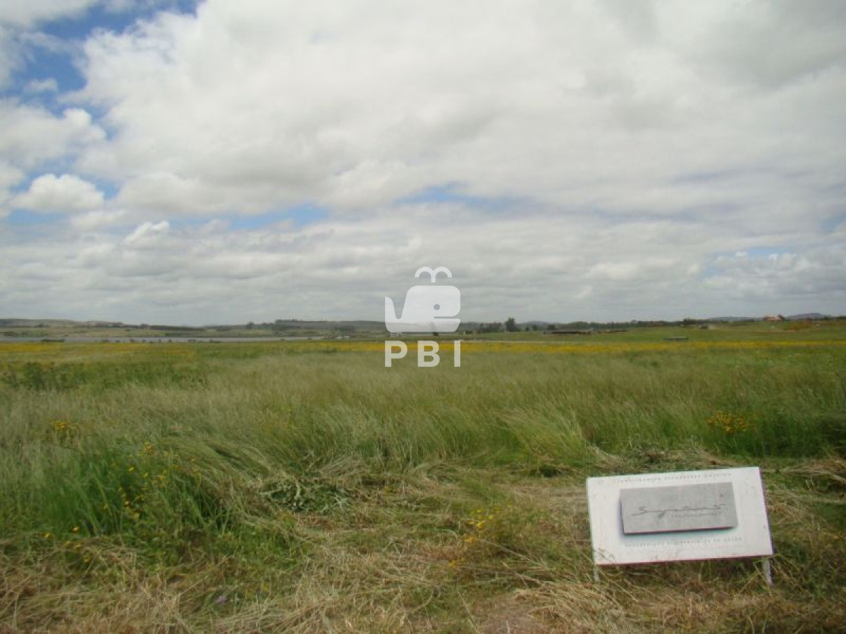 VGVycmVubyBlbiB2ZW50YSBMYWd1bmEgRGUgTG9zIENpc25lcyAgLSBSZWYgOiBQQkkxODAx