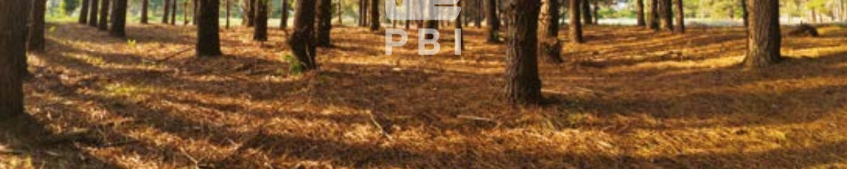 Terreno en La Serena, Punta Ballena - Ref : PBI14317