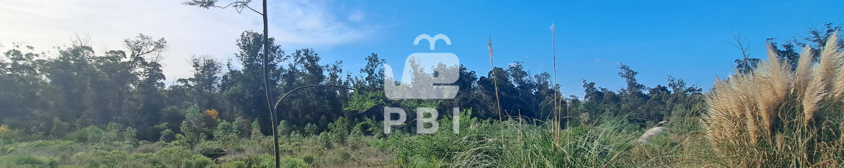 Venta de lote Eden Rock - Ref : PBI14741