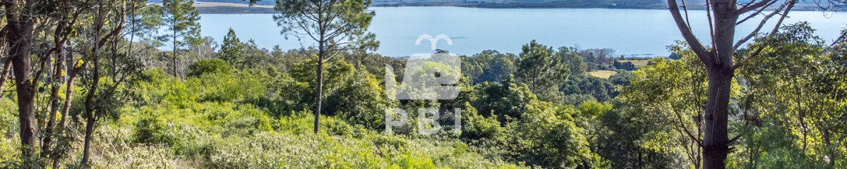 Terreno en venta en Las Cumbres, Punta Ballena  - Ref : PBI15037