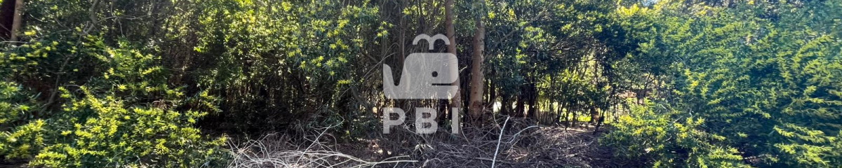 Terreno en venta en Sauce de Portezuelo, Punta Ballena  - Ref : PBI15106