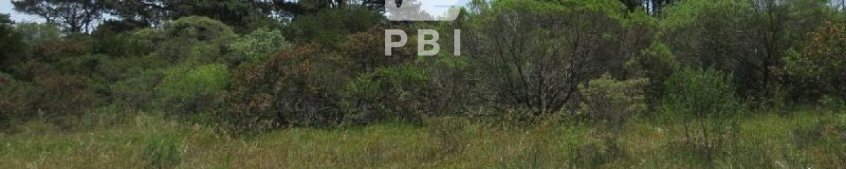 Terreno en venta Chihuahua  - Ref : PBI1218