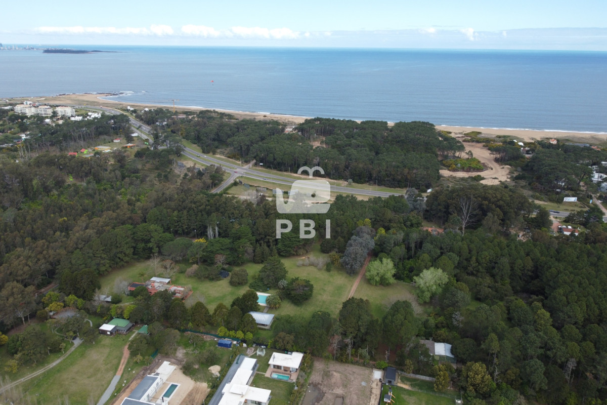 QXBhcnRhbWVudG8gZW4gYWxxdWlsZXIgdGVtcG9yYXJpbyBMb21vIGRlIExhIEJhbGxlbmEgMiBkb3JtaXRvcmlvcyAtICBRdWFydGllciBQdW50YSBCYWxsZW5hIC0gUmVmIDogUEJJMzU=