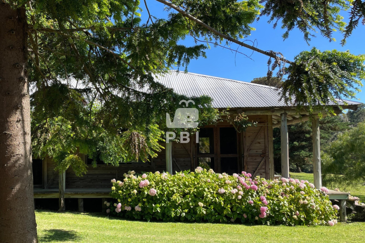 QXBhcnRhbWVudG8gZW4gYWxxdWlsZXIgdGVtcG9yYXJpbyBMb21vIGRlIExhIEJhbGxlbmEgMiBkb3JtaXRvcmlvcyAtICBRdWFydGllciBQdW50YSBCYWxsZW5hIC0gUmVmIDogUEJJMzU=