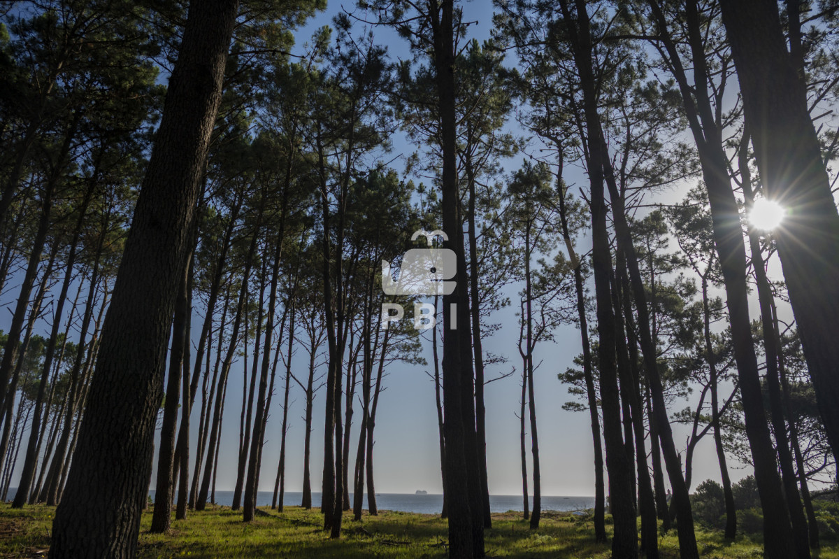 QXBhcnRhbWVudG8gZW4gTG9tbyBEZSBMYSBCYWxsZW5hICAyIGRvcm1pdG9yaW9zIC0gIFF1YXJ0aWVyIFB1bnRhIEJhbGxlbmEgLSBSZWYgOiBQQkk0Nw==