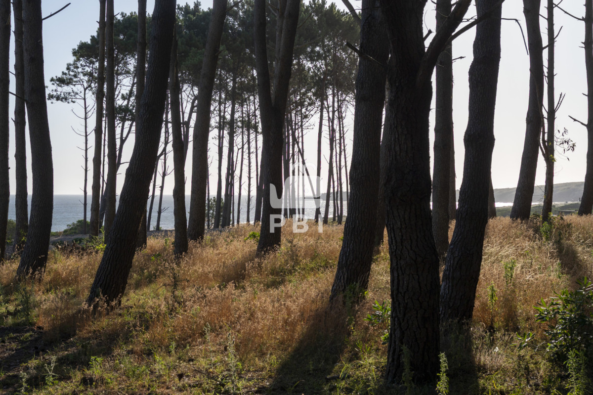 QXBhcnRhbWVudG8gZW4gTG9tbyBEZSBMYSBCYWxsZW5hICAyIGRvcm1pdG9yaW9zIC0gIFF1YXJ0aWVyIFB1bnRhIEJhbGxlbmEgLSBSZWYgOiBQQkk0Nw==