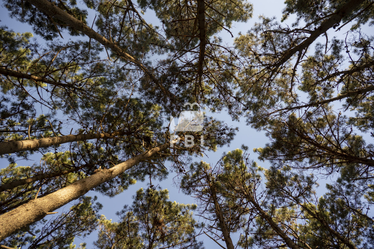 QXBhcnRhbWVudG8gZW4gTG9tbyBEZSBMYSBCYWxsZW5hICAyIGRvcm1pdG9yaW9zIC0gIFF1YXJ0aWVyIFB1bnRhIEJhbGxlbmEgLSBSZWYgOiBQQkk0Nw==