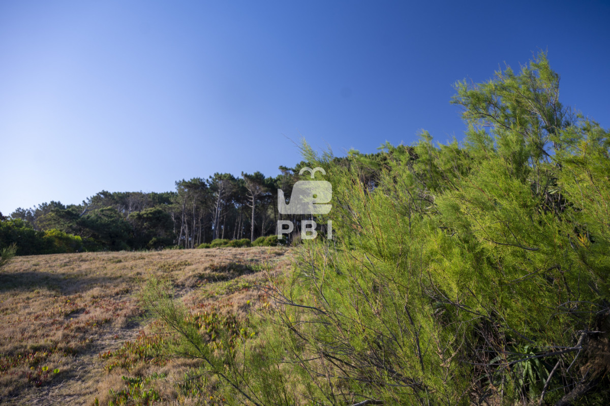 QXBhcnRhbWVudG8gZW4gTG9tbyBEZSBMYSBCYWxsZW5hICAyIGRvcm1pdG9yaW9zIC0gIFF1YXJ0aWVyIFB1bnRhIEJhbGxlbmEgLSBSZWYgOiBQQkk0Nw==