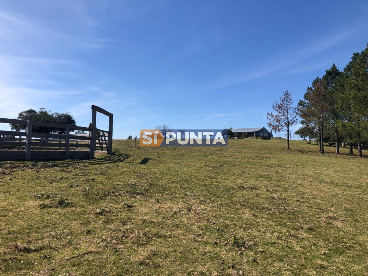 Chacra ID.9836 - MALDONADO EXCELENTE CHACRA DE 10 HAS CON CASA PRINCIPAL, DE SERVICIO Y DE HUESPEDES, PISCINA CLIMATIZADA