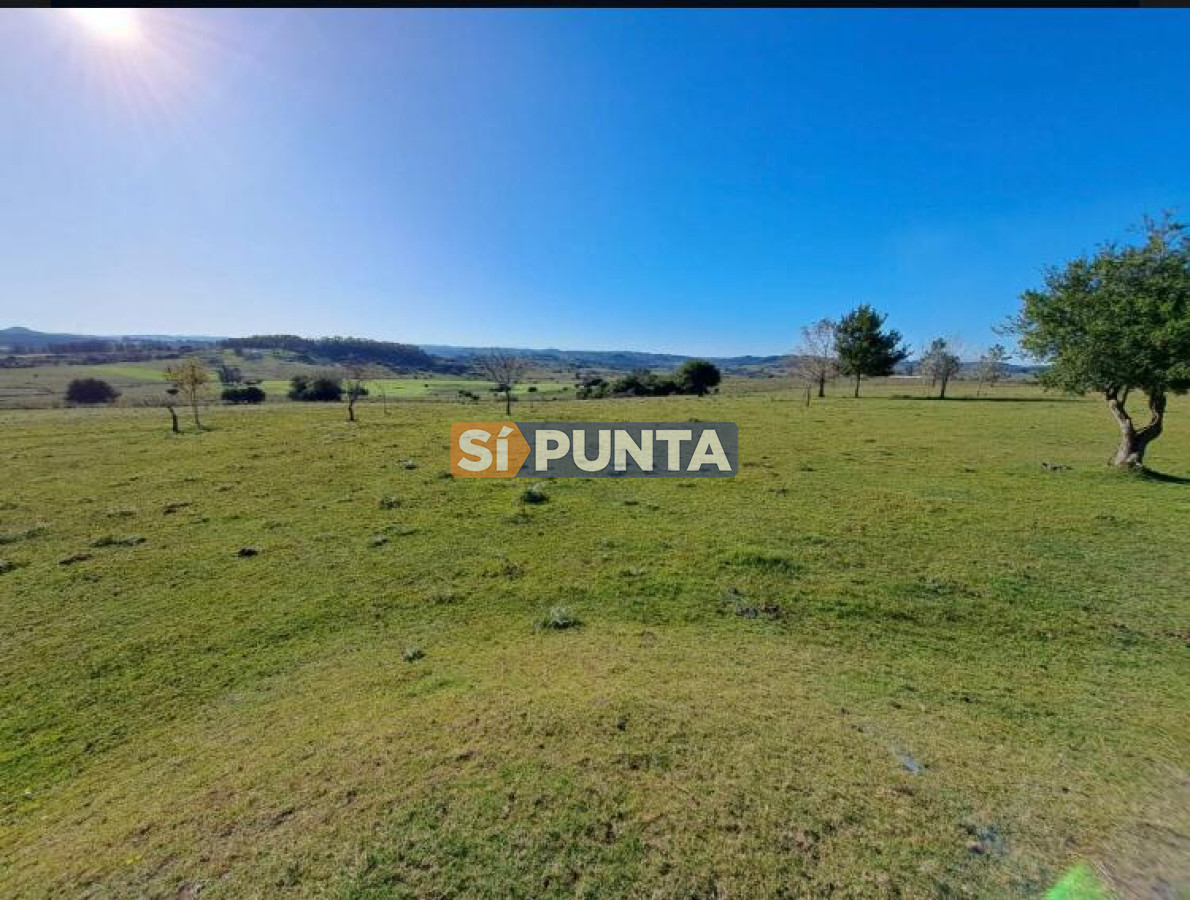 Chacra ID.9836 - MALDONADO EXCELENTE CHACRA DE 10 HAS CON CASA PRINCIPAL, DE SERVICIO Y DE HUESPEDES, PISCINA CLIMATIZADA