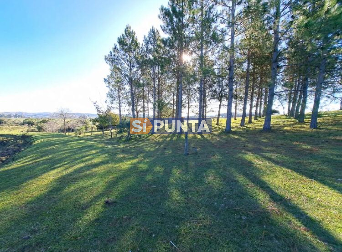 Chacra ID.9836 - MALDONADO EXCELENTE CHACRA DE 10 HAS CON CASA PRINCIPAL, DE SERVICIO Y DE HUESPEDES, PISCINA CLIMATIZADA