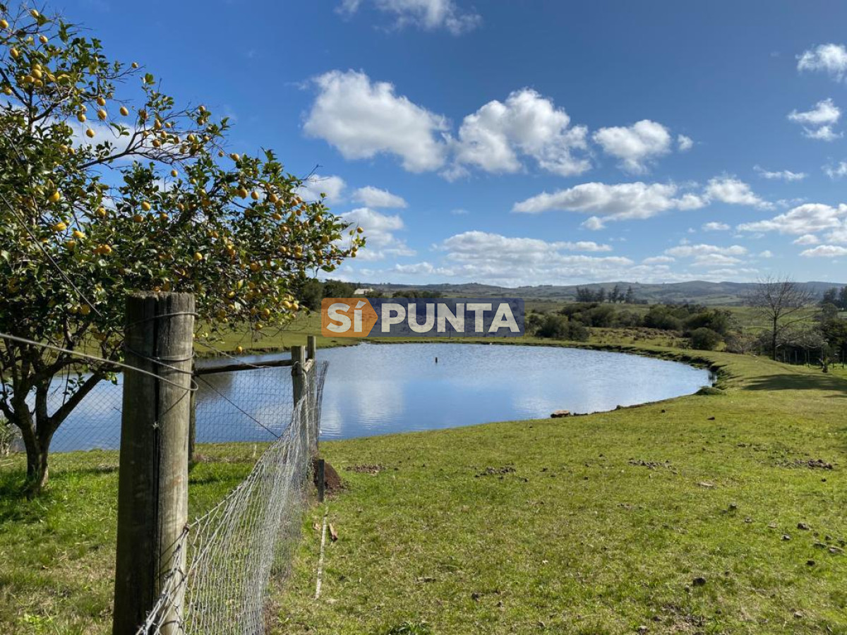 Chacra ID.9836 - MALDONADO EXCELENTE CHACRA DE 10 HAS CON CASA PRINCIPAL, DE SERVICIO Y DE HUESPEDES, PISCINA CLIMATIZADA