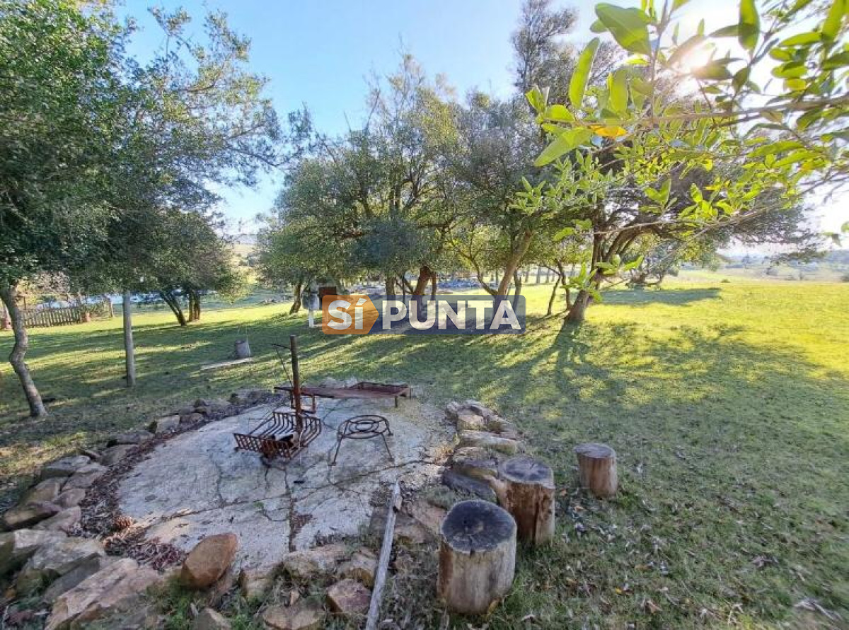 Chacra ID.9836 - MALDONADO EXCELENTE CHACRA DE 10 HAS CON CASA PRINCIPAL, DE SERVICIO Y DE HUESPEDES, PISCINA CLIMATIZADA