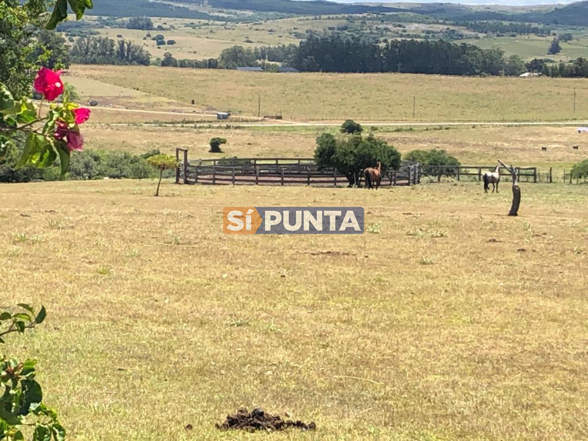 Chacra ID.9836 - MALDONADO EXCELENTE CHACRA DE 10 HAS CON CASA PRINCIPAL, DE SERVICIO Y DE HUESPEDES, PISCINA CLIMATIZADA