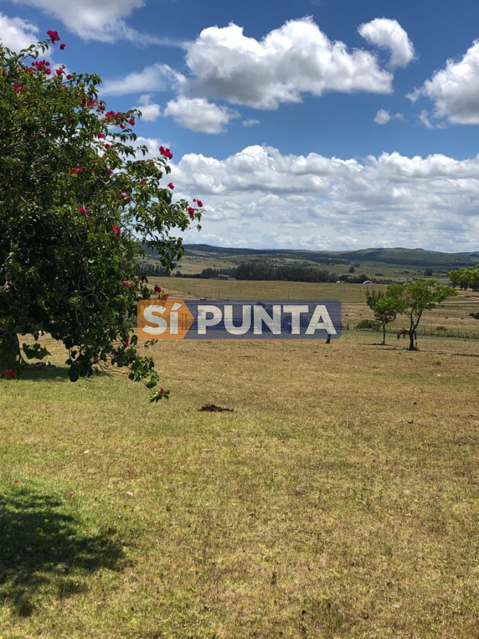 Chacra ID.9836 - MALDONADO EXCELENTE CHACRA DE 10 HAS CON CASA PRINCIPAL, DE SERVICIO Y DE HUESPEDES, PISCINA CLIMATIZADA