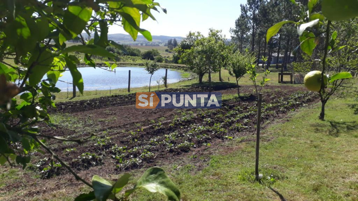 Chacra ID.9836 - MALDONADO EXCELENTE CHACRA DE 10 HAS CON CASA PRINCIPAL, DE SERVICIO Y DE HUESPEDES, PISCINA CLIMATIZADA