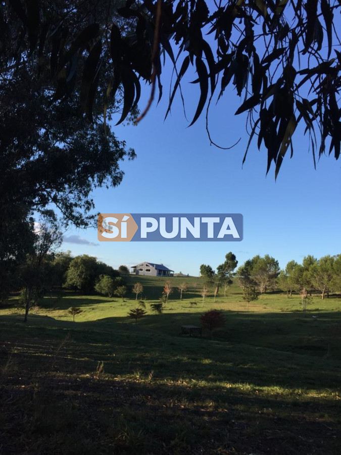 Chacra ID.9836 - MALDONADO EXCELENTE CHACRA DE 10 HAS CON CASA PRINCIPAL, DE SERVICIO Y DE HUESPEDES, PISCINA CLIMATIZADA