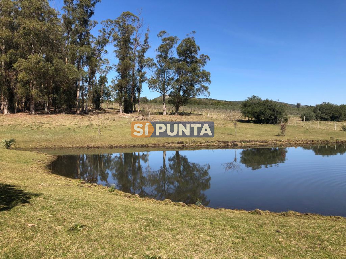 Chacra ID.9836 - MALDONADO EXCELENTE CHACRA DE 10 HAS CON CASA PRINCIPAL, DE SERVICIO Y DE HUESPEDES, PISCINA CLIMATIZADA